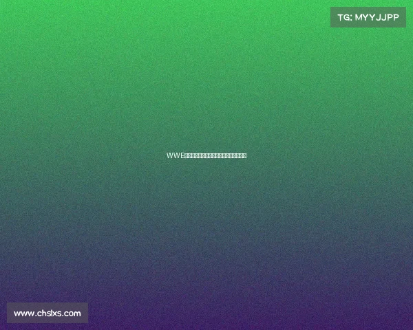 WWE赛事数量大揭秘全面解析其多个类别详情