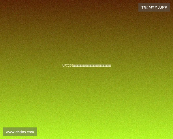 UFC235格斗盛典乔恩琼斯卫冕轻重量级王座乌斯曼夺次中量级冠军